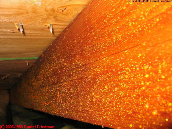 Is Wood Sap in Attic Bad 