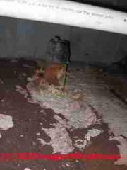 Sewage backup under a home