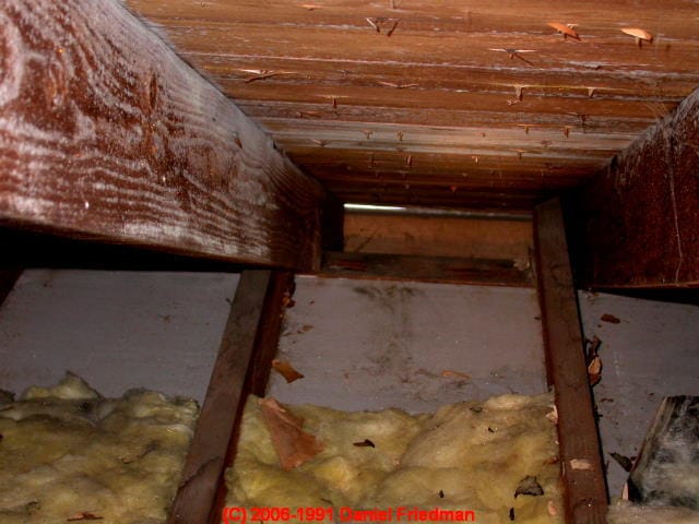 Attic Mold Mold In Attics A How To Photo And Text