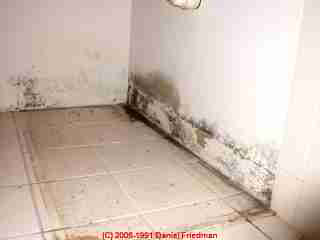 Moldy drywall - don't just bleach (C) Daniel Friedman