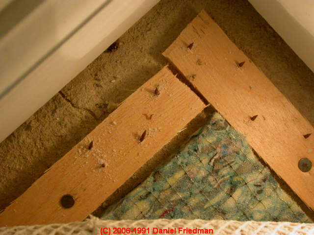 carpet-padding-guide-to-asbestos-mold-odor-problems-solutions