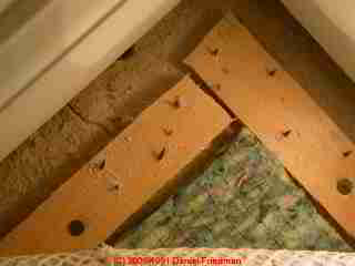 Photo of clean carpet tack strips confirming that there has been no water entry at this location since carpets were installed