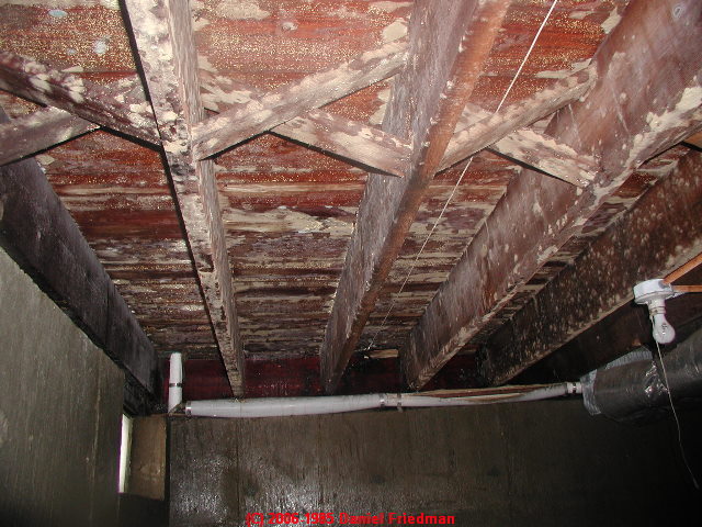 How to Clean Mold on Building Framing Lumber or Plywood Sheathing and