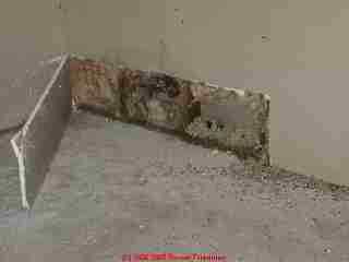 Photograph: leak stains prompted a wall cut to disclose very moldy insulation and mold on cavity side of this drywall, caused by a hidden pipe leak - Daniel Friedman