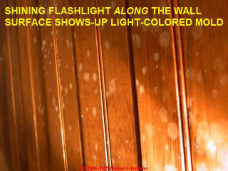 white mold on pine paneling is hard to see unless illuminaged correctly