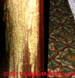 Gele schimmel op lambrisering van gebouwmuren - Meruliporia incrassata