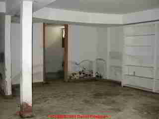 Photo of Moldy drywall in a basement following a modest 6 inch flooding event