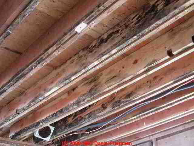 Black Mold Cosmetic What Harmless Black Mold Or Cosmetic Looks