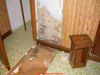 Photograph of - Black mold on drywall, green mold on drywall and trim, were hidden behind the paneling  in
this apartment bathroom