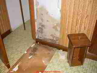 Photograph of - Black mold on drywall, green mold on drywall and trim, were hidden behind the paneling  in this apartment bathroom