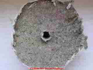 Wall cavity side of drywall showing mold (C) Daniel Friedman