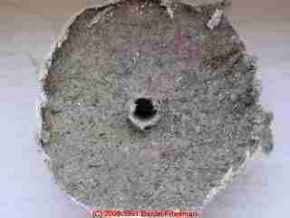 Wall Cavity Side of a test cut shows hidden mold