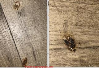 unidentified brown spots on wood floor (C) InspectApedia.com RickJ