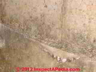 Cold pour joint in concrete foundation wall, closeup © Daniel Friedman at InspectApedia.com