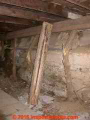 Collapsing wood posts in an old NY Barn (C) Daniel Friedman Taurozzi