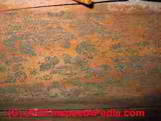Mold on framing in a crawl space © Daniel Friedman at InspectApedia.com