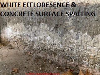 Effloresence and spalling at the surface of a 30 year old Connecticut concrete foundation wall (C) InspectApedia.com ML