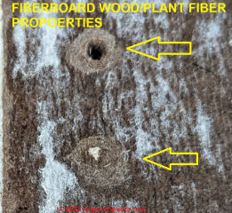Close visual inspection can identify woody plant fibers characteristic of fiberboard sheathing products (C) InspectApedia.com JK