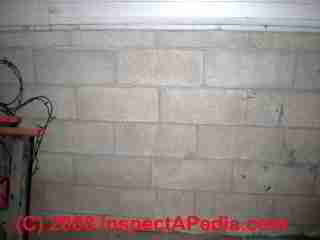 Vertical settlement crack in a masonry block foundation (C) D Friedman B Maltempo 