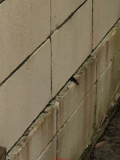 Horizontal & some vertical crack damage to concrete block structural wall (C) InspectApedia.com Todd