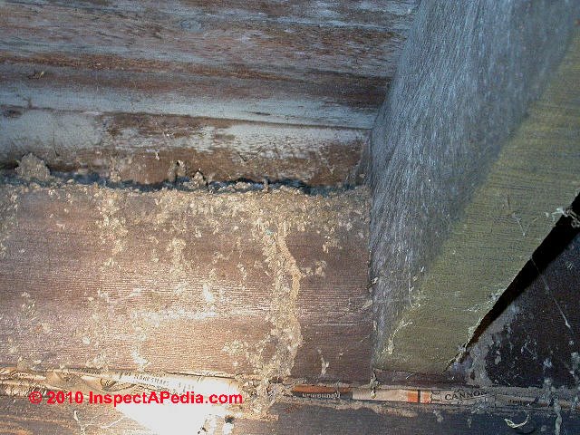Termite Mud Tubes How To Recognize Termite Damage Termite