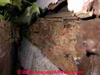 Termite damaged wood © Daniel Friedman at InspectApedia.com