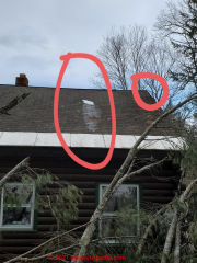 Damaged roof from tree fall - did this cause splits in beams seen inside ? Probably not (C) InspectApedia.com Lindsay