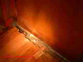 Termite damage case © Daniel Friedman at InspectApedia.com