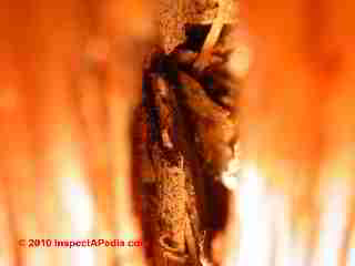 Termite damage case © Daniel Friedman at InspectApedia.com
