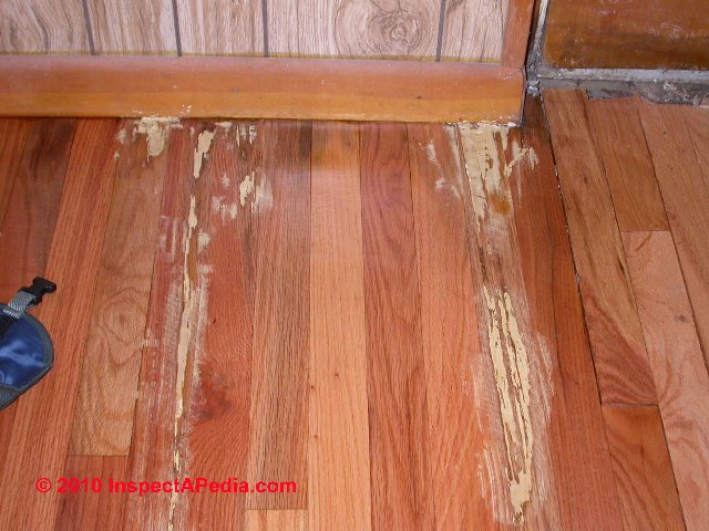 Termite Inspection Case Report Shows How To Find Termite Damage