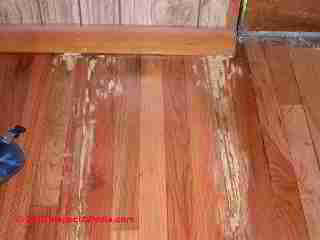 Termite damage case © Daniel Friedman at InspectApedia.com