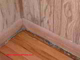 Termite damage case © Daniel Friedman at InspectApedia.com