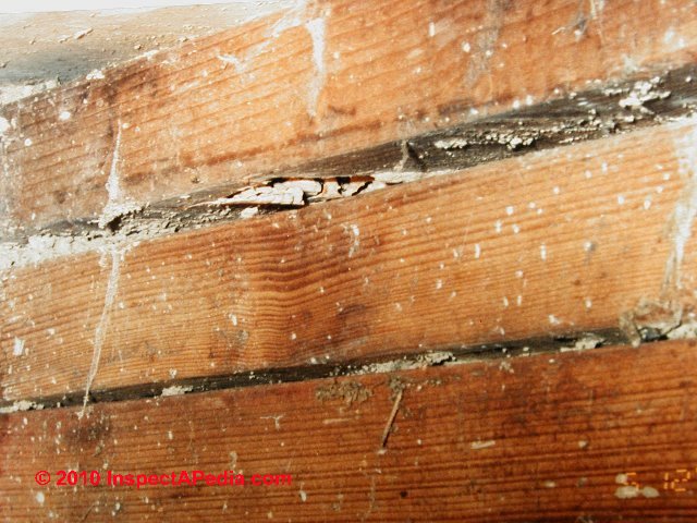 Termite Mud Tubes How To Recognize Termite Damage Termite Mud