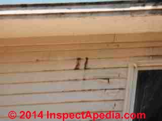 Roof ice dam leaks leave stains on exterior walls (C) Daniel Friedman