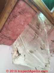 Leaks into cathedral ceiling insulation (C) InspectApedia.com Plowman