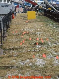 Flags mark subsidence or sinkholes along the William A Irvin in Duluth MN (C) Daniel Friedman