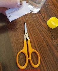 Scissors to open reagent packets for arsenic in water test (C) Daniel Friedman at InspectApedia.com