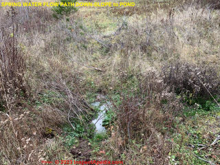 Procedure to repair an old spring & route its flow to a pond (C) InspectApedia.com Phillips