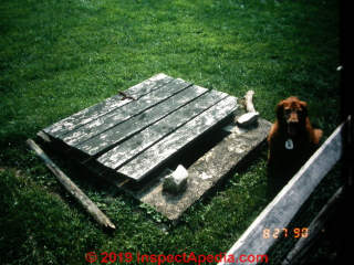 Author's dog Katie is guarding an unsafe wood cover over a dug well (C) Daniel Friedman at InspectApedia.com