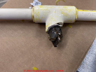 Pipe tee downstream from water filter found clogged with filter materials (C) InspectApedia.com John M